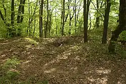Bild 9: Mulde in der Hauptburg, möglicherweise die Stelle der Zisterne oder eines Gebäudes