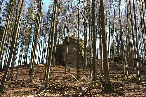 Burgstall Hienberg