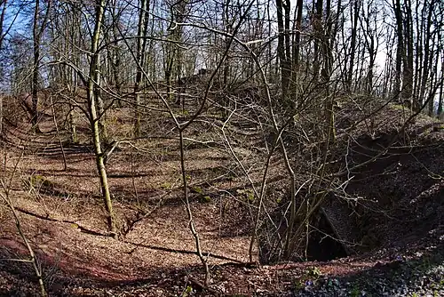 Blick auf den Burgstall Hohenlandsberg