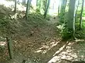 Burgstall Holzöster: Burggraben