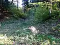Westlicher Wehrgraben