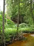 Der Michelbach östlich unterhalb der ehemaligen Burganlage