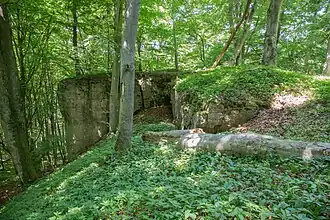 Bild 7: Felsen am Südwesteck der Kernburg (Juni&nbsp;2015)
