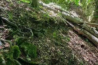 Bild 5: Abgegangenes Mauerwerk am Nordhang der Kernburg (Juni&nbsp;2015)
