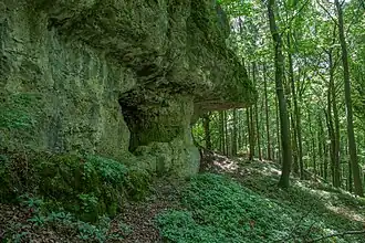 Bild 10: Westliche Seite der Kernburg mit kleiner Höhle und Abri. Im Bildhintergrund die Stelle der Vorburg. (Juni&nbsp;2015)