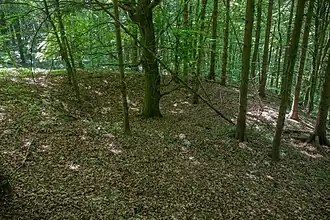 Bild 9: Mulde im Bereich der Vorburg (Juni&nbsp;2015)
