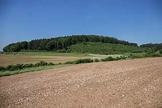 Bild 3: Ansicht des nur sanft geneigten Plankensteines aus östlicher Richtung (Juni&nbsp;2015)