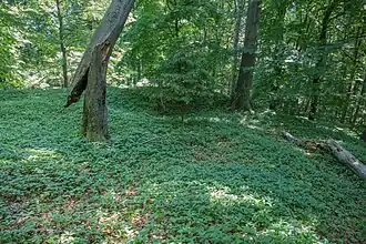 Bild 8: Blick über das Kernburgplateau, im Bildhintergrund eine kleine Mulde, wohl der Standort eines Gebäudes (Juni&nbsp;2015)