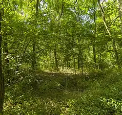 Auf dem Burgplateau