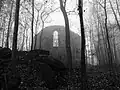 Burgsteinruine im Nebel
