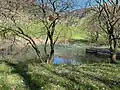 Weiher am Fuss des Hügels