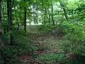 Burgwall Schossow