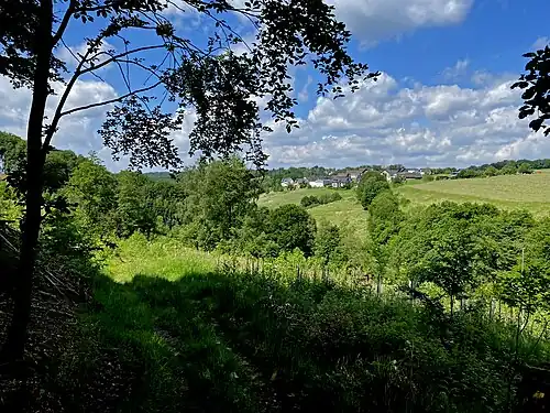 Blick von Keffermich auf Busch (Odenthal)