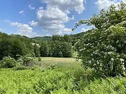 Buschbachtal