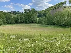 Buscher Bachtal