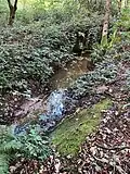 Die Quelle des Butzbach in Rösrath-Hasbach