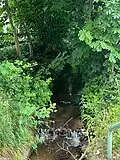 Der Butzbach am Tannenweg