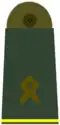 Hauptfeldwebel[A 10]