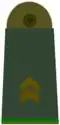 Oberfeldwebel[A 10]