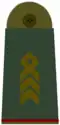 Oberstabsfeld­webel[A 10]