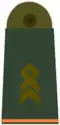 Stabsfeldwebel[A 10]