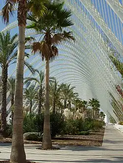 L’Umbracle: Innenansicht