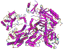 Cas9