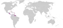 Mitglieder der CCCF