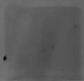 Weißbild
