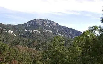 Cerro Mohinora