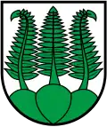 Farne für Farnern