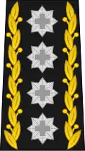 Mounting loop