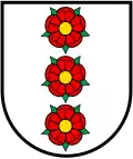 Wengi BE: Pfahlweise gestellt