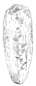 Ballaqueeney-Stein II – Abzeichnung der Ogham-Zeichen