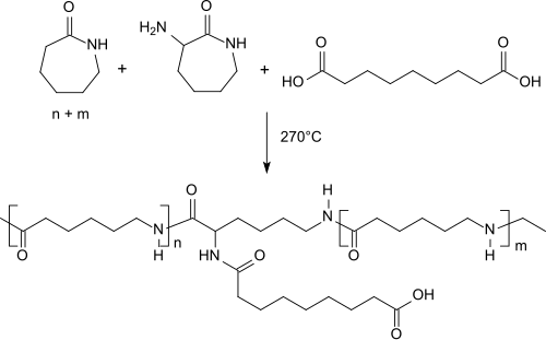 Caprolactam-Copolymere mit Aminocaprolactam
