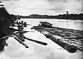 Ein Holzfloß mit Behausung auf dem Barito, 1905–1914