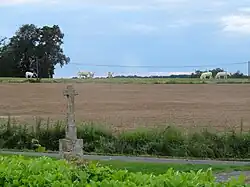 Wegkreuz