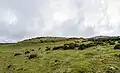 Wall