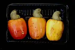 Cashew