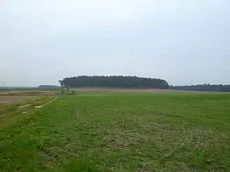 Der Saalberg nahe Mannhausen und Velsdorf