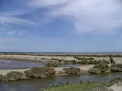 Étang de Vaccarès