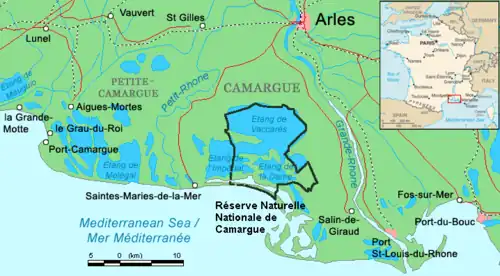 Die Camargue und die beiden Arme der Rhône