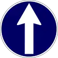 vorgeschriebene Fahrtrichtung – geradeaus