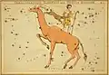 Giraffe, Rentier und Erntehüter