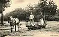 Lebensmitteltransport