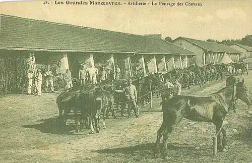 Blick auf die Pferdeställe auf einer am 10. Juli 1928 verschickten Postkarte