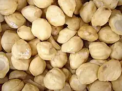 Samenkerne
