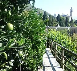 Botanischer Garten