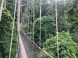 Kakum-Nationalpark