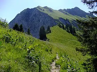 Blick auf die Cape au Moine vom Nordwesten.